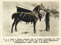 99058 Afbeelding van het prijswinnende paard Gerhardina op de paardententoonstelling bij de opening van het Gebouw voor ...